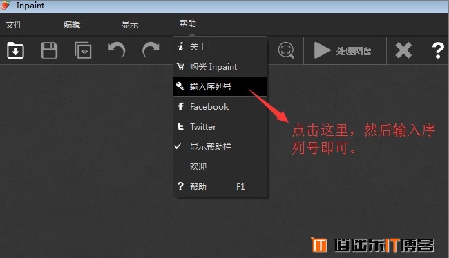 图片去水印神器工具 Teorex Inpaint6.2简体中文正式绿色版免费下载，附永久特别激活码