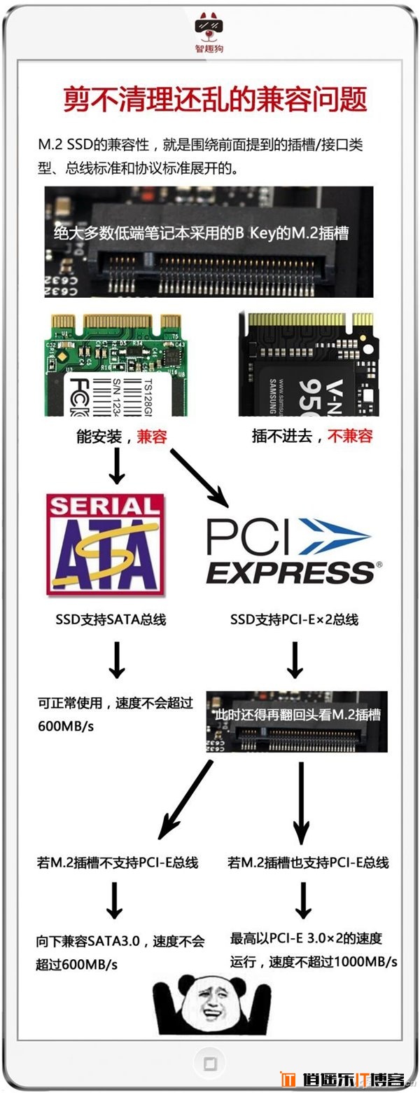 M.2/PCI-E/NVMe/SATA是什么？SSD硬盘常用接口详解