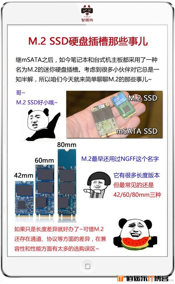 M.2/PCI-E/NVMe/SATA是什么？SSD硬盘常用接口详解