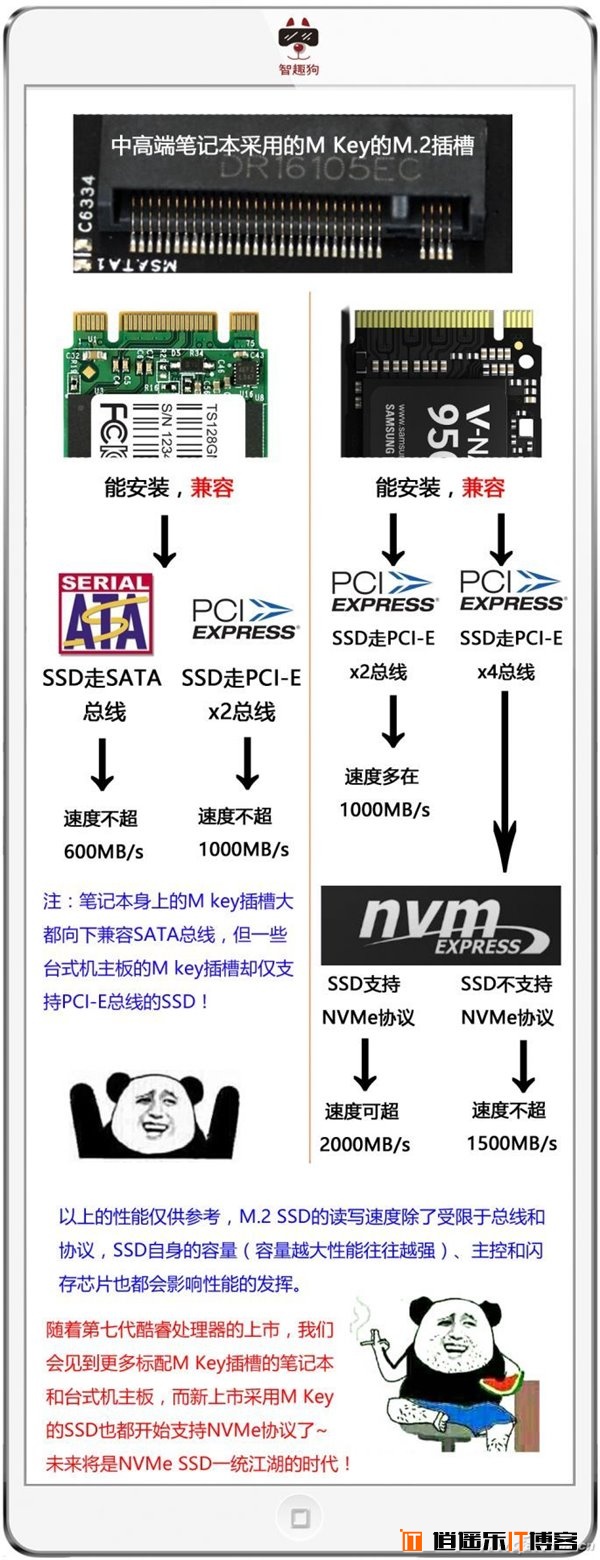 M.2/PCI-E/NVMe/SATA是什么？SSD硬盘常用接口详解