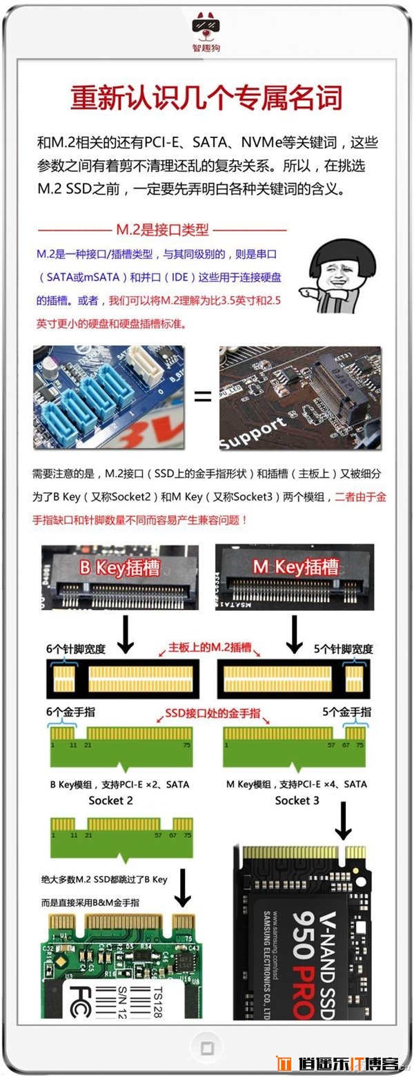 M.2/PCI-E/NVMe/SATA是什么？SSD硬盘常用接口详解