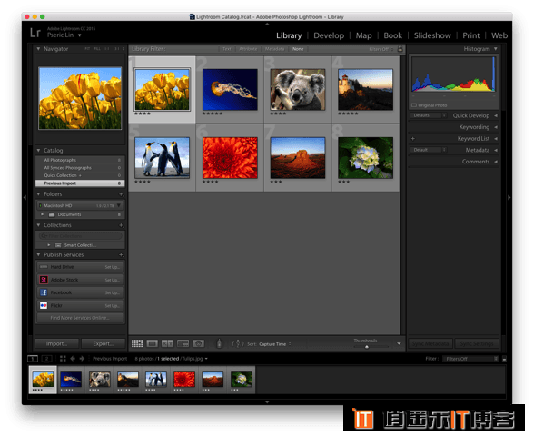 免费下载 WordPress.com 官方 Lightroom 模块，快速修图导入博客相册