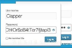 WordPress后台登录界面显示/隐藏密码插件：hideShowPassword 插件