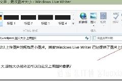 Windows Live Writer与wordpress之自定义文章发布作者、查看密码、摘要、评论等