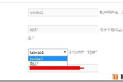 [逍遥乐教程]WordPress用户前端化专业版WP User Frontend Pro系列教程（二）：个人资料增加公开显示选择昵称/用户名选项