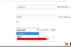 [逍遥乐教程]WordPress用户前端化专业版WP User Frontend Pro系列教程（二）：个人资料增加公开显示选择昵称/用户名选项