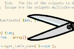 Code Snippets wordpress代码片段管理器插件汉化版