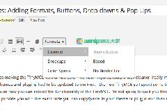 WordPress 3.9+ TinyMCE 4 增强：添加样式、按钮、字体、下拉菜单和弹出式窗口