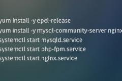CentOS 7 YUM 10分钟快速安装 LNMP 环境详细教程
