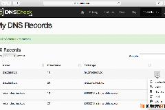 DNS Checks – 免费DNS监测服务