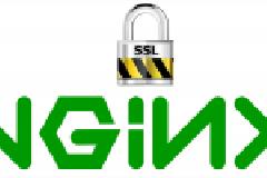 Nginx 为 HTTPS 加密站点启用 Certificate Transparency