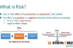 ISO 31000的风险管理提供了最一般的知识概念并适用于最全面的环境